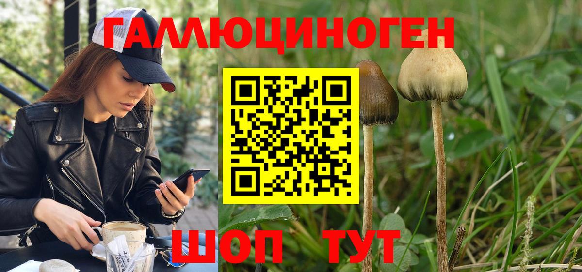 Псилоцибиновые грибы Psilocybine cubensis  Вход с VPN  Медногорск 